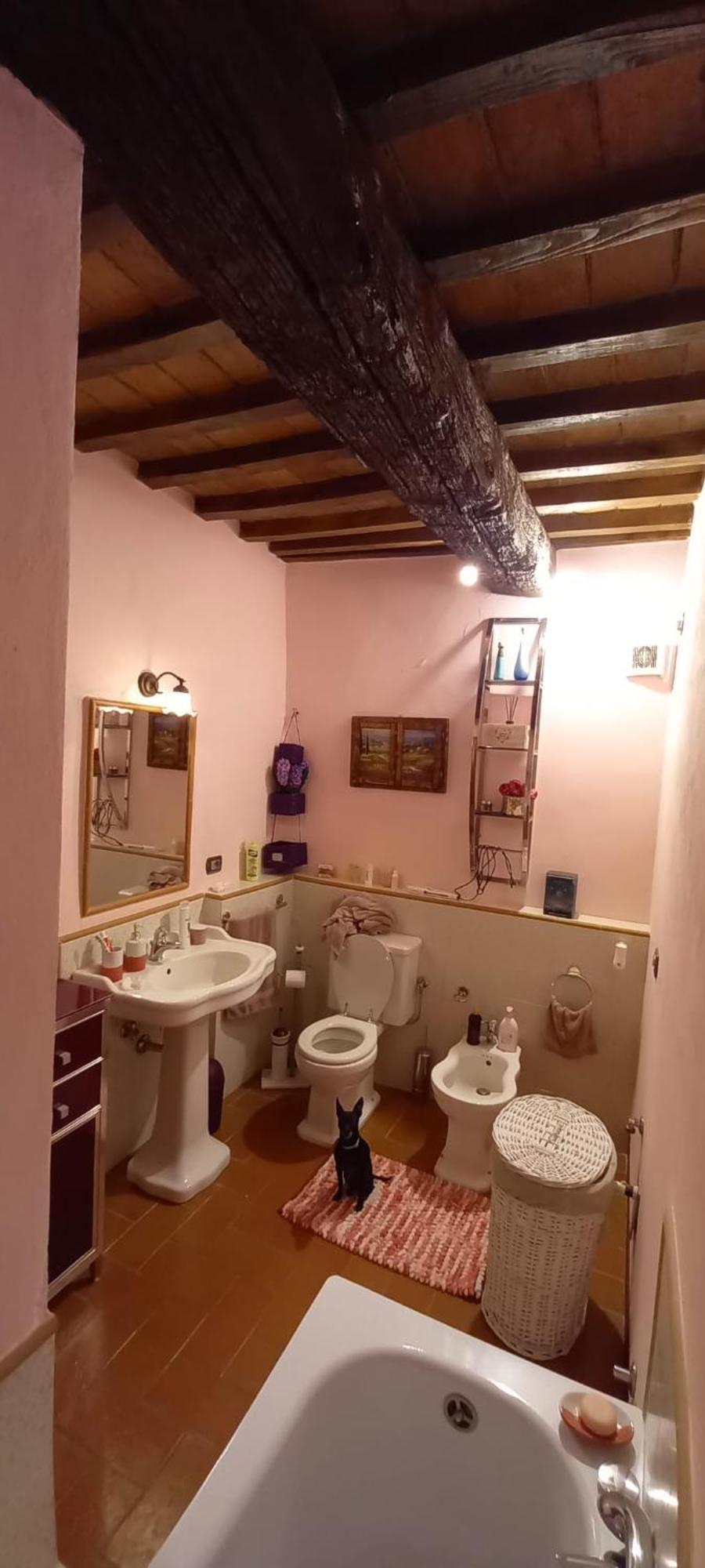 Cottage Le Ginestre Con Piscina In Val D'Orcia ラディコーファニ エクステリア 写真