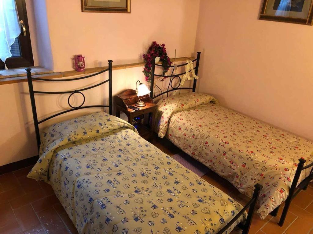 Cottage Le Ginestre Con Piscina In Val D'Orcia ラディコーファニ エクステリア 写真